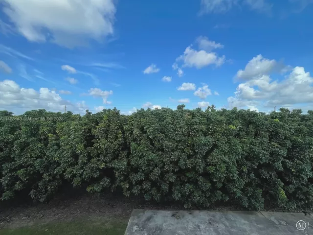 Продажа дома по адресу 33300 SW 202nd Ave - фото 4200249