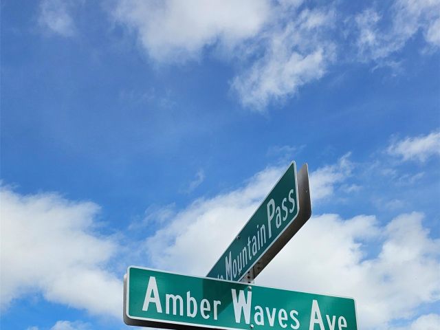 Дом в аренду по адресу 13431 Amber Waves Ave - фото 5365382