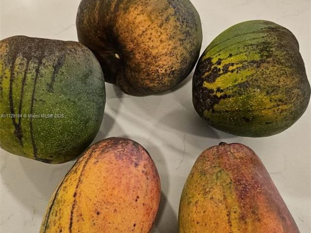 Продажа дома по адресу 16400 SW 173rd Ave - фото 6239182