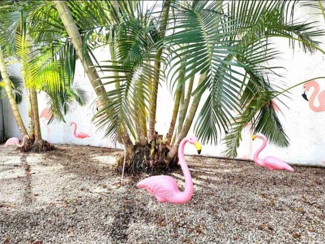 Продажа дома по адресу 3232 NE 15th St - фото 5539617