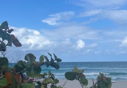 Квартира #505