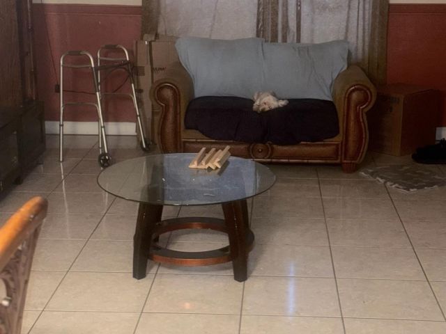 Дом в аренду по адресу 12975 NW 18th Ct - фото 5997046