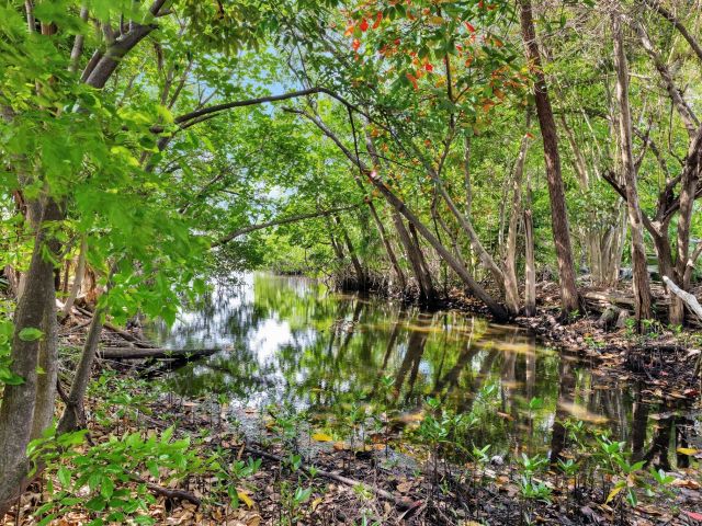 Продажа дома по адресу 2017 N Dixie Hwy - фото 5995801