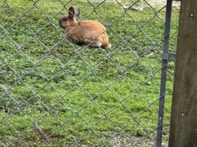 Продажа дома по адресу 12355 NW 7th Ln - фото 5886412