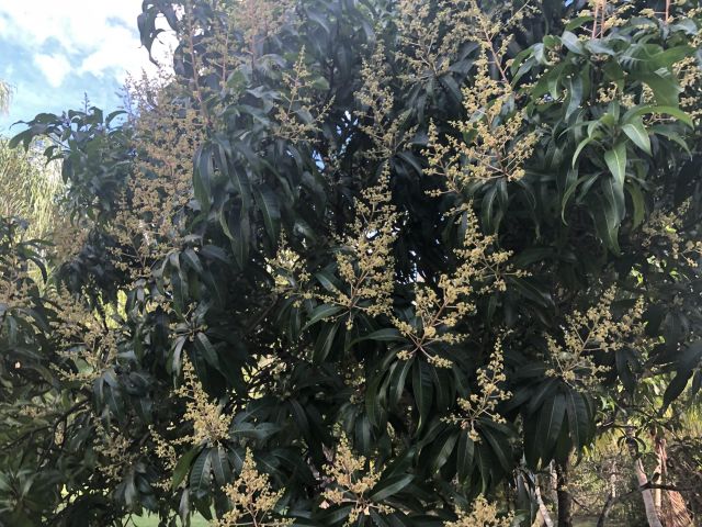 Дом в аренду по адресу 12136 88th Place N - фото 5983668