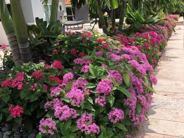 Продажа дома по адресу 3040 NE 46th St - фото 6051183