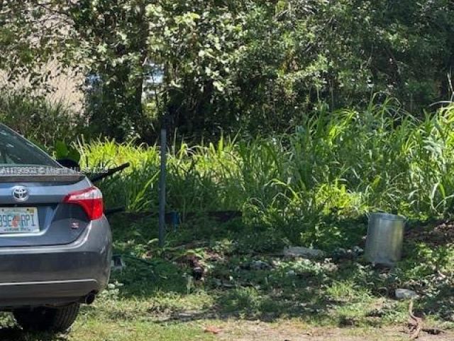 Продажа дома по адресу 10250 SW 177th St - фото 5987316