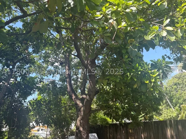 Продажа дома по адресу 2530 Washington St - фото 9053333