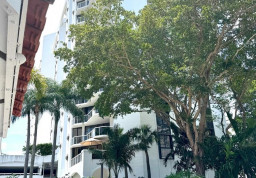 Квартира #810