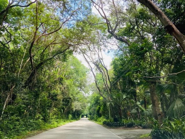 Дом в аренду по адресу 22990 SW 156th Ave 0 - фото 6062294