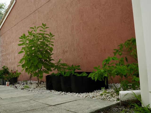 Дом в аренду по адресу 3290 Turtle Cove - фото 6116227