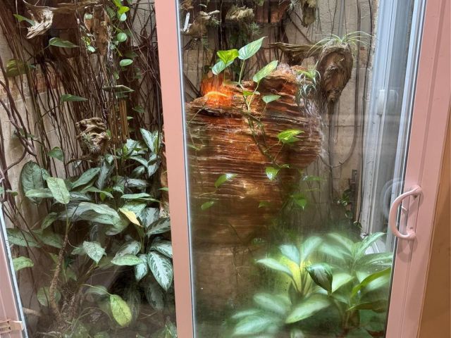 Дом в аренду по адресу 683 Pelican Way - фото 6144040