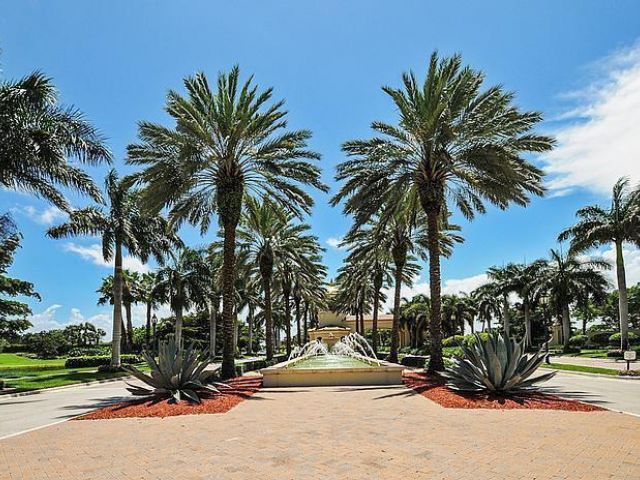 Продажа дома по адресу 13226 Solana Beach Cove - фото 6315461