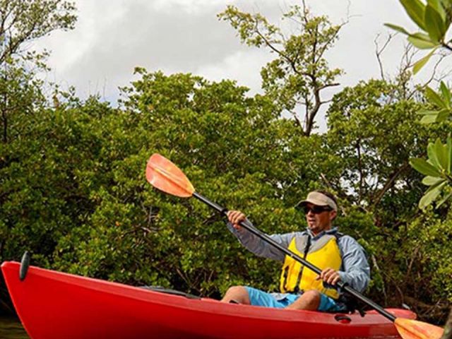 Дом в аренду по адресу 245 Arlington Road - фото 6444838