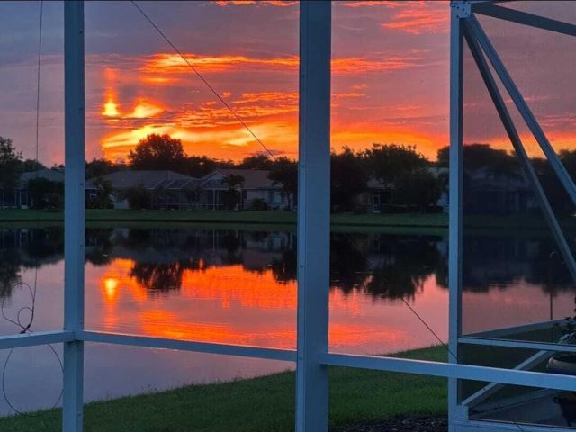 Продажа дома по адресу 9271 Heron Cove Drive - фото 6506425