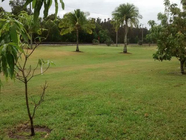 Дом в аренду по адресу 3505 Amalfi Drive - фото 6534314