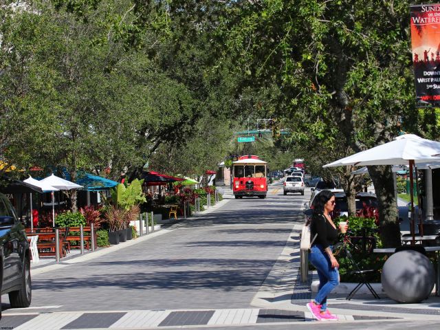Дом в аренду по адресу 1315 Summit Run Circle - фото 6592326
