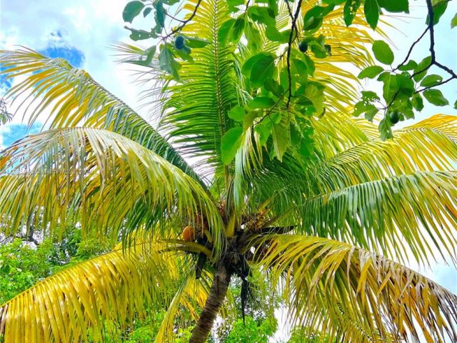 Дом в аренду по адресу 140 NW 124th St 0 - фото 7494803