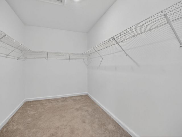 Дом в аренду по адресу 4320 Buttonwood Drive - фото 6594768