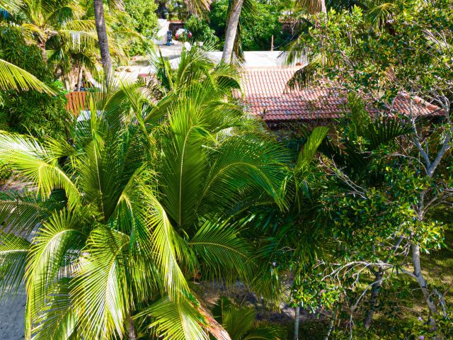 Продажа дома по адресу 1501 NE 3rd Avenue - фото 6639181