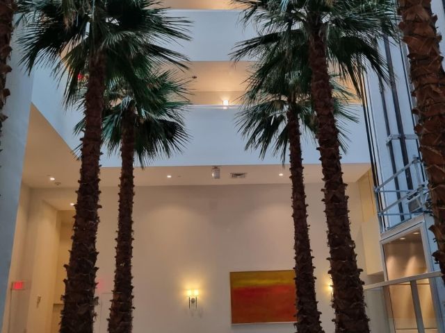 Квартира в аренду номер1-1105 - фото 6715942