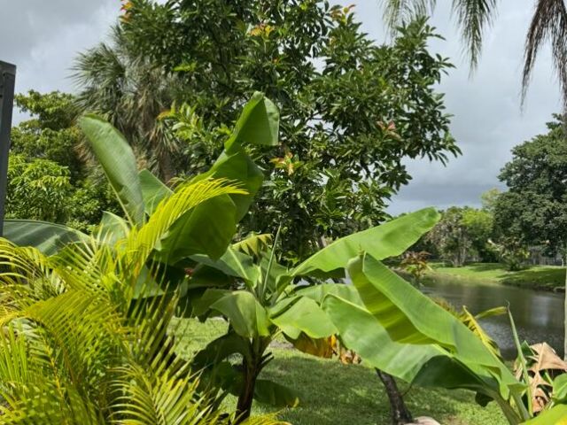 Продажа дома по адресу 10180 Camelback Lane - фото 6749456