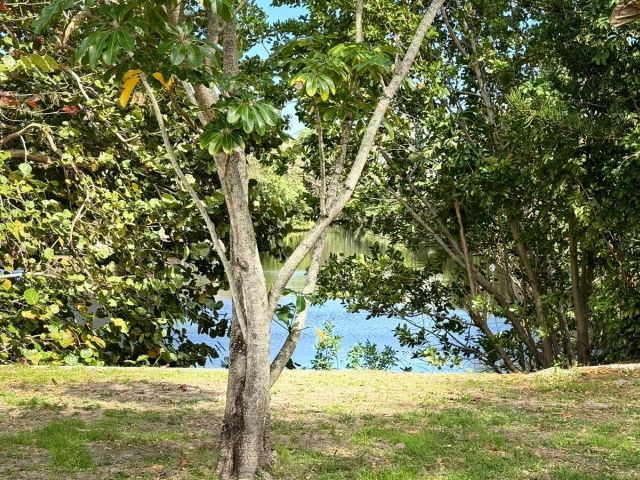 Продажа дома по адресу 2008 NW 10th Avenue - фото 6730321