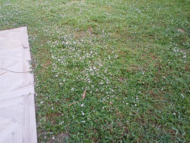 Дом в аренду по адресу 8743 Sol Terrace - фото 6932900