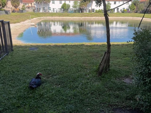 Дом в аренду по адресу 4324 Maybelle Lane - фото 6760680