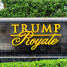 Trump Royale - Condo - Sunny Isles Beach
