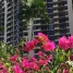 Brickell Key One - Condo - Miami