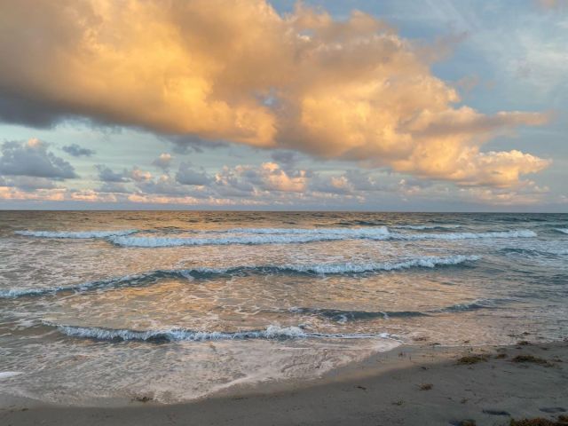 Дом в аренду по адресу 1300 SW 13th Street - фото 6809325