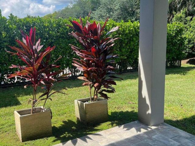 Дом в аренду по адресу 17534 Rainstream Road - фото 6814280