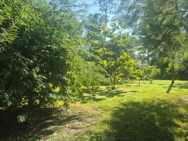 Продажа дома по адресу 13706 44th Place N - фото 6853092