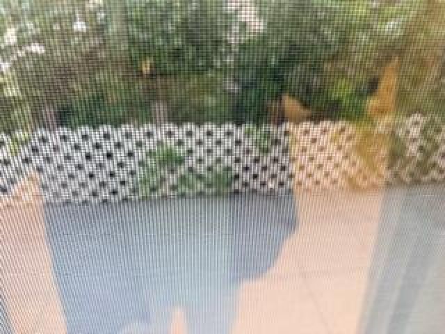 Дом в аренду по адресу 7473 Champagne Place - фото 6830163