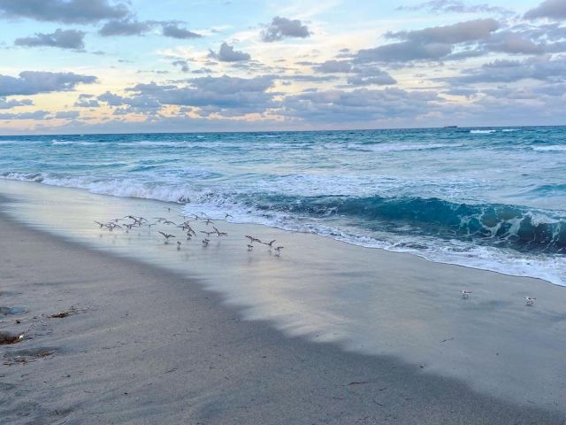 Продажа дома по адресу 1260 SW 8th Street SW - фото 6932950