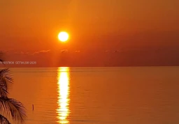 Квартира #308