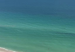 Квартира #2304