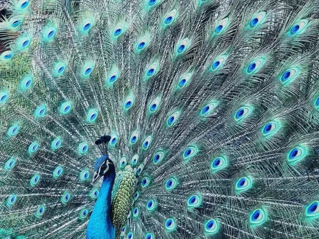 Дом в аренду по адресу 2485 Inagua Ave - фото 7371201