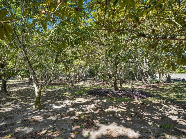 Продажа дома по адресу 19955 SW 186th St - фото 7440174