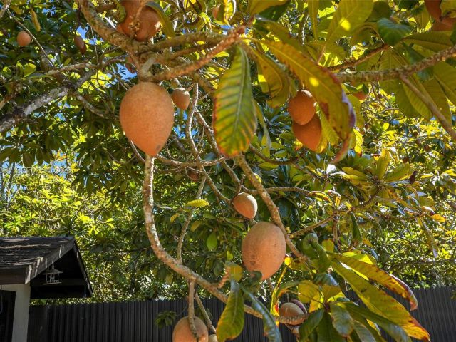 Продажа дома по адресу 19955 SW 186th St - фото 7440175