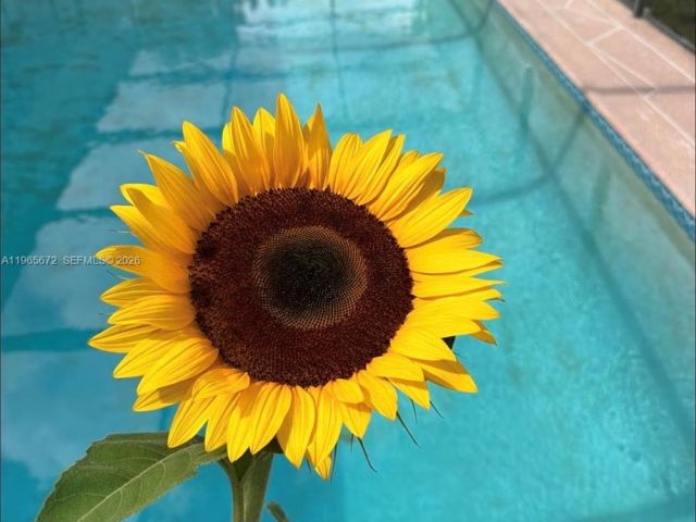 Дом в аренду по адресу 30255 SW 197th Ave 0 - фото 7459248