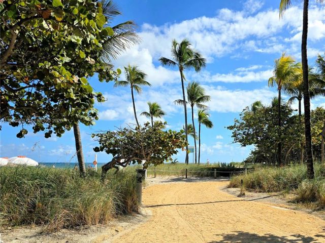 Квартира в аренду номер208 - фото 7507914