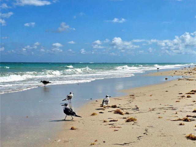 Квартира в аренду номер208 - фото 7507915