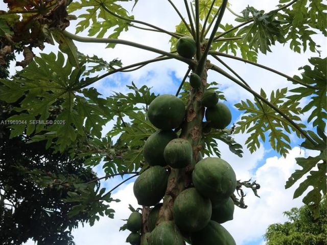 Дом в аренду по адресу 27684 SW 163rd Ct 0 - фото 7459385