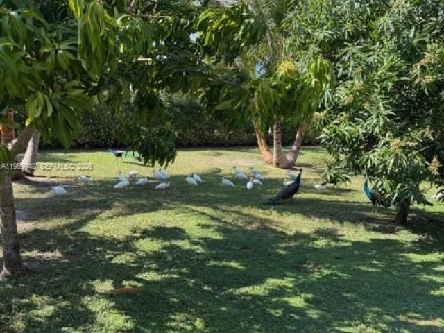 Продажа дома по адресу 14721 SW 67th Ave - фото 7470780