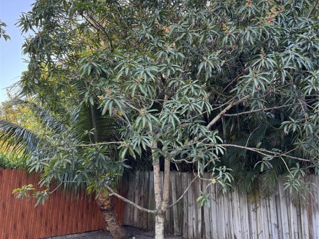 Дом в аренду по адресу 470 NE 127th St - фото 7475658