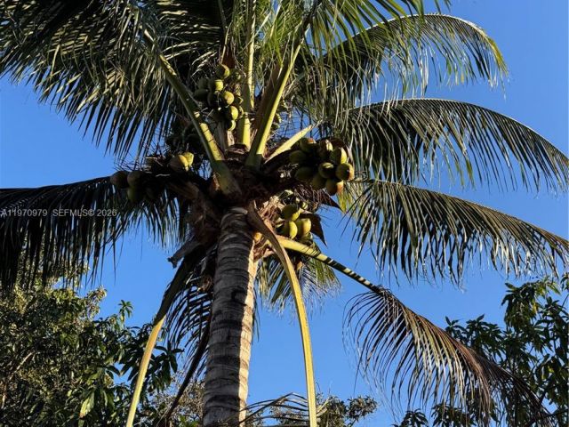 Дом в аренду по адресу 470 NE 127th St - фото 7475660