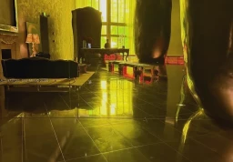 Квартира #619