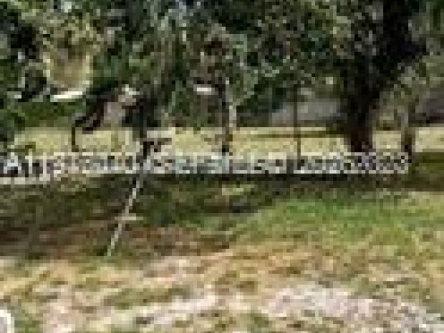 Дом в аренду по адресу 2631 Fillmore St - фото 7474371